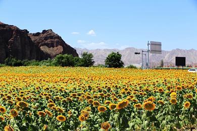 《马拉松》以外 Bungie或还在开发另一部新作“Matter”